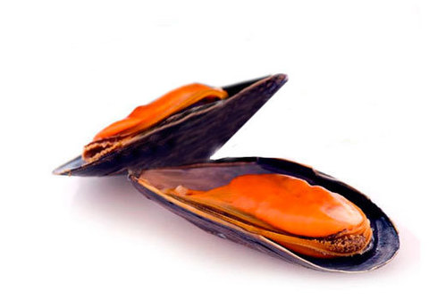 Мидия Грея варено-мороженая~500г