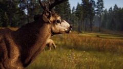 Way of the Hunter (диск для PS5, интерфейс и субтитры на русском языке)