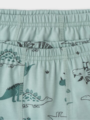 набор трусы/ уп  для мальчика  К 1930-2уп/голубой прибой,динозавры