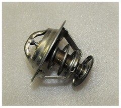 Термостат Ricardo Y485BD; TDK 17 4L (Т=76С)/Thermostat, element