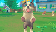 My Universe - Puppies & Kittens (для ПК, цифровой код доступа)