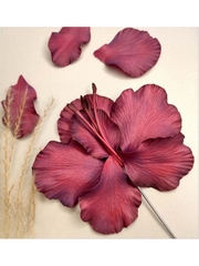 Молды пластиковые Набор Н-54 гладиолус (3шт)