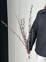 Пучок вербы под ленту