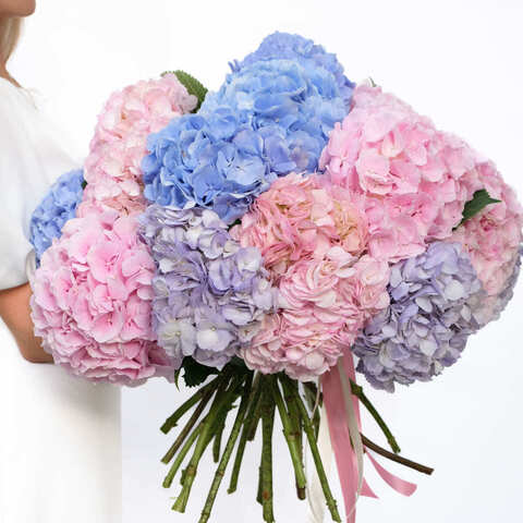 Букет 15 гортензий