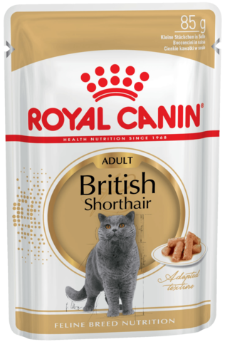 Royal Canin British Shorthair Adult соус для взрослых кошек породы британская короткошерстная