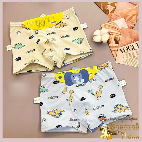 Трусы хлопок м (3-13) 260119-SL6139