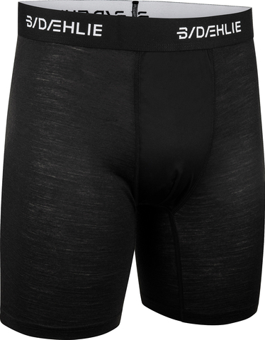 Картинка боксеры Bjorn Daehlie Tech WindR Boxer black - 1