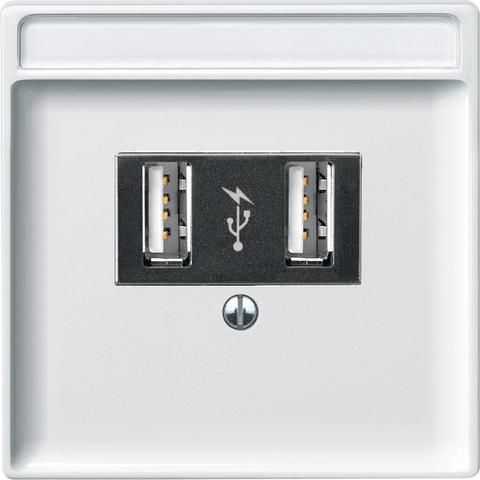 Розетка USB двойная для зарядки. Цвет Полярно-белый. Merten Antique/Artec. MTN4366-0100+MTN297819