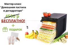 Дегидратор (сушилка) Tribest Sedona Express SD-6280