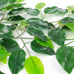 Фикус реалистичный, зеленый, искусственный, ветка 53 см, около 60 листочков, набор 2 ветки.