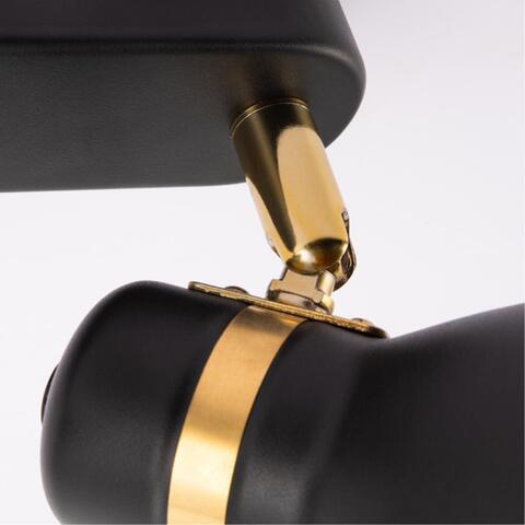 Потолочный светильник Arte Lamp FAFNIR A5047PL-2BK