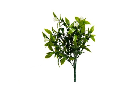 форма обратной связи