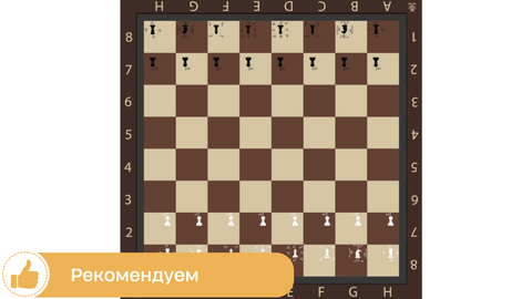 Доска для шахмат плотная виниловая обучающая 2,4х2,4 м