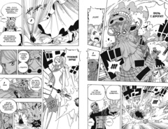One Piece. Большой куш. Книга 17