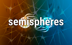 Semispheres (для ПК, цифровой код доступа)