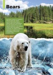 The Polar Bear (Discover Our Amazing World) reader. Книга для чтения