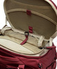 Картинка рюкзак для путешествий Thule landmark 40l Dark Bordeaux - 4