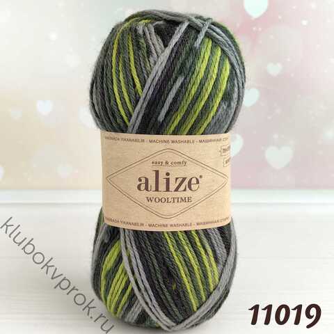 ALIZE WOOLTIME 11019, Мультиколор