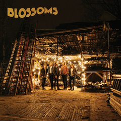 Blossoms / Blossoms (LP)