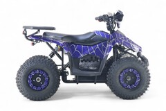 Детский электрический квадроцикл RiverToys LEON 1200W