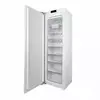 Морозильник DeLonghi DFI 17NFE PAOLO
