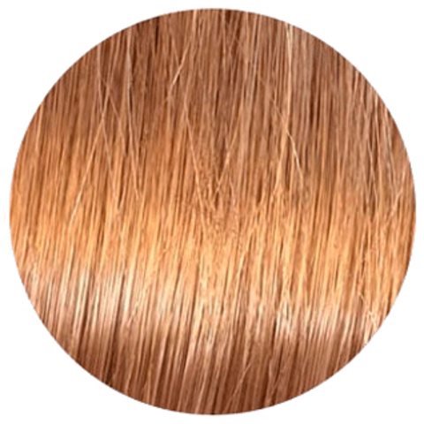 Wella Koleston Deep Browns 8/73 (Светлый блонд коричнево-золотистый Мадейра) - Стойкая краска для волос