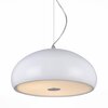 Светильник подвесной ST Luce Glitter SL856.503.03