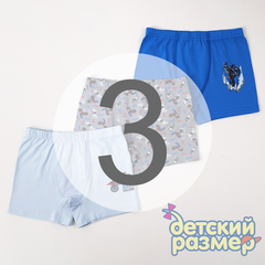 3 (5-6 лет)