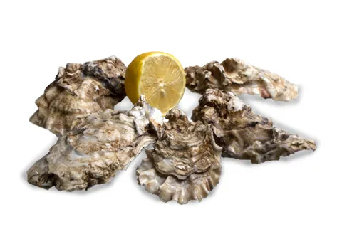Японские устрицы Тихиро, 12шт