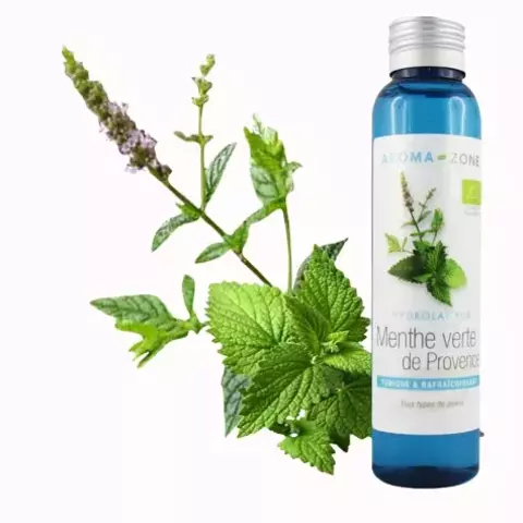 Гидролат органической мяты из Прованса 100мл (Menthe verte de Provence)