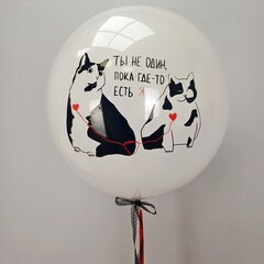 Дабл Бабл Коты