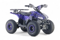 Детский электрический квадроцикл RiverToys LEON 1200W