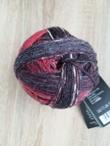 Schoppel Wunderklecks 2430