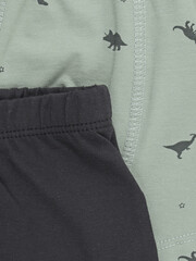 набор трусы/ уп  для мальчика  К 1912-2уп/темный графит,нефритовый,динозавры