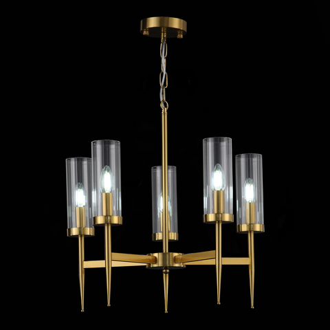Люстра подвесная ST Luce Acazio SL1159.303.05