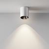 Потолочный светильник Maytoni Alfa led C064CL-12W4K-RD-WB