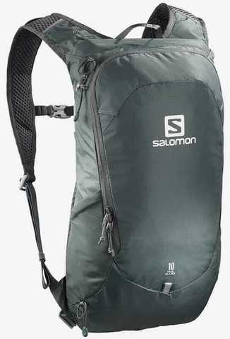 Картинка рюкзак туристический Salomon Trailblazer 10 Urban Chic/Alloy - 1