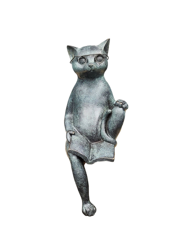 Читающий котик на полку
