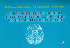 Морфологические основы остеопатической коррекции краниальных нейропатий. Учебное пособие