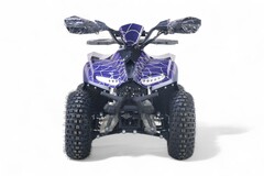 Детский электрический квадроцикл RiverToys LEON 1200W