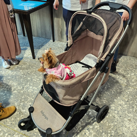 Коляска для собак/животных Evolution Speedy Fold Pet Buggy, Best Foldable Cat, Rabbit and Dog Stroller