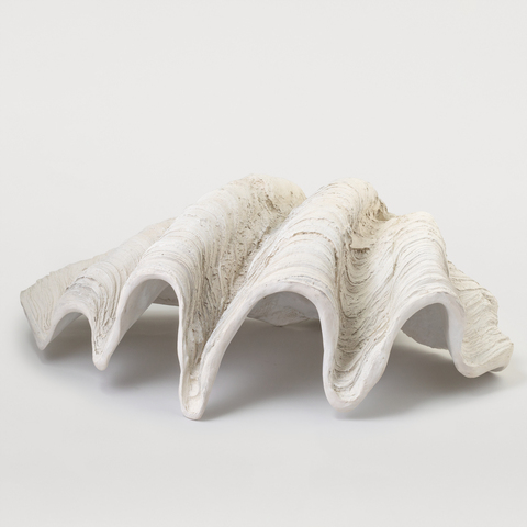 ДЕКОРАТИВНАЯ РАКУШКА FONT ON BASE