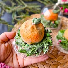 Новогодний зефир «Мандарин»