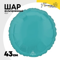 
          Шар фольгированный Круг 43 см (Голубой)