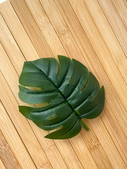 Монстера, лист реалистичный, зелень искусственная, 13*14 см., набор 15 листьев.