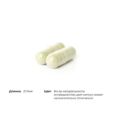 Энзимы, Plantizyme, Thorne Research, 90 капсул 4