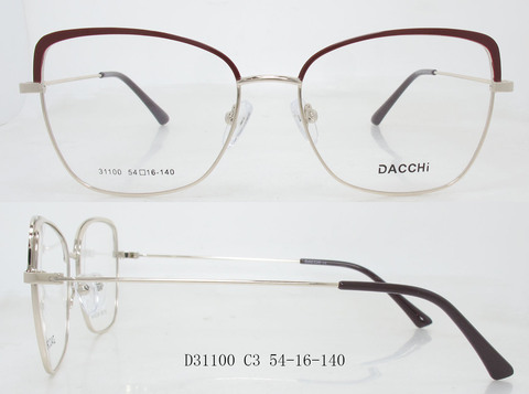 D31100