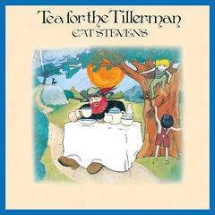 Cat Stevens / Tea For The Tillerman (CD)
