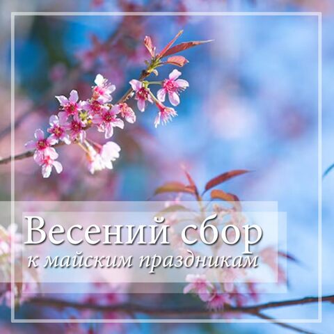 Весенний сбор (до 30 апреля)