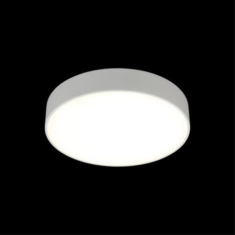 Потолочный светодиодный светильник Aployt Evon APL.0114.09.24